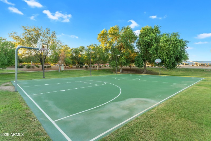 Basketball