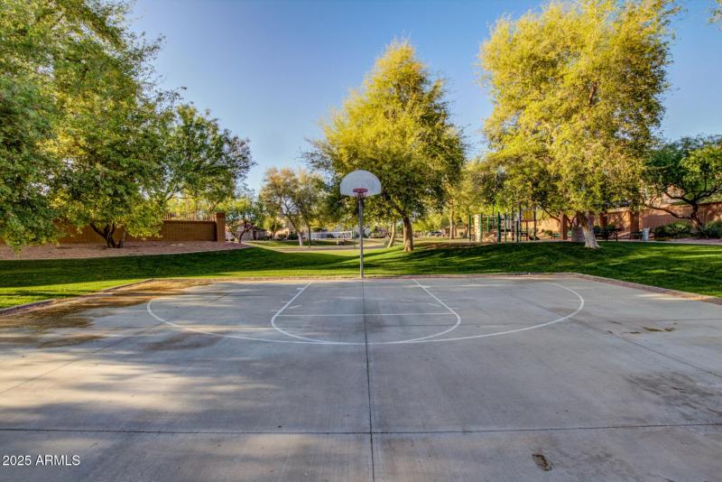 Basketball Court