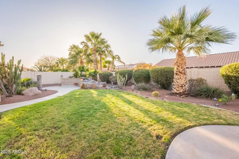 Real grass for your furry pets