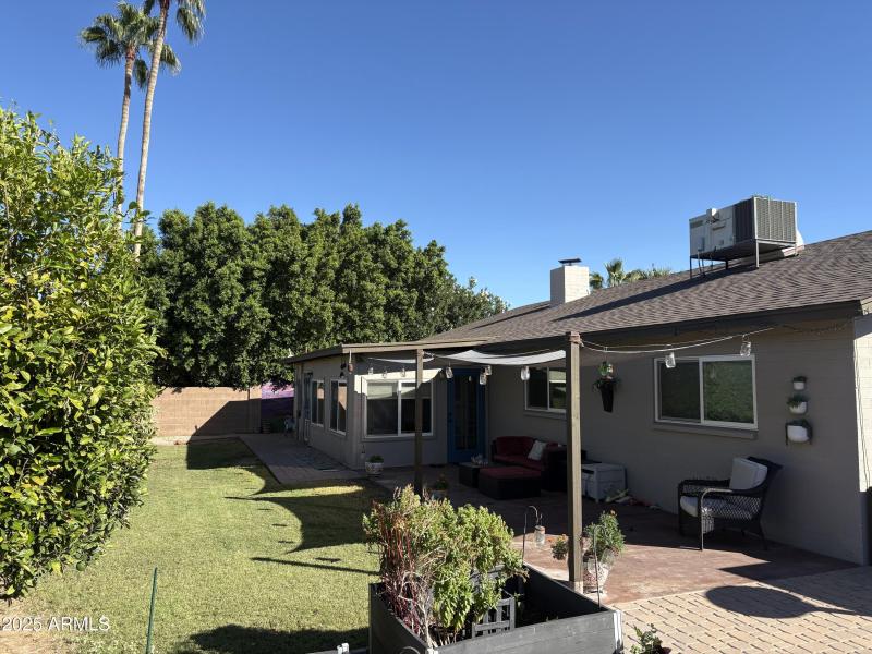 Backyard 3