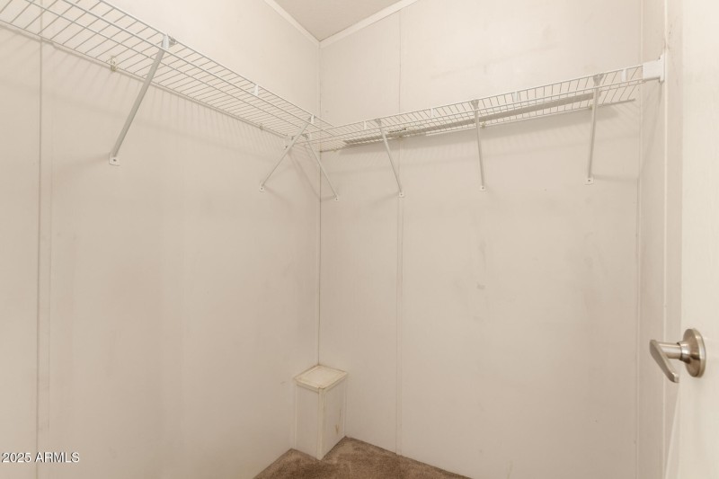 38 - Montanoso 22615