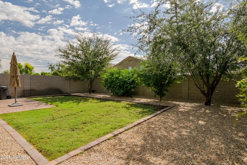 16Backyard