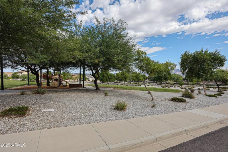 Park/Common Area Across the Street