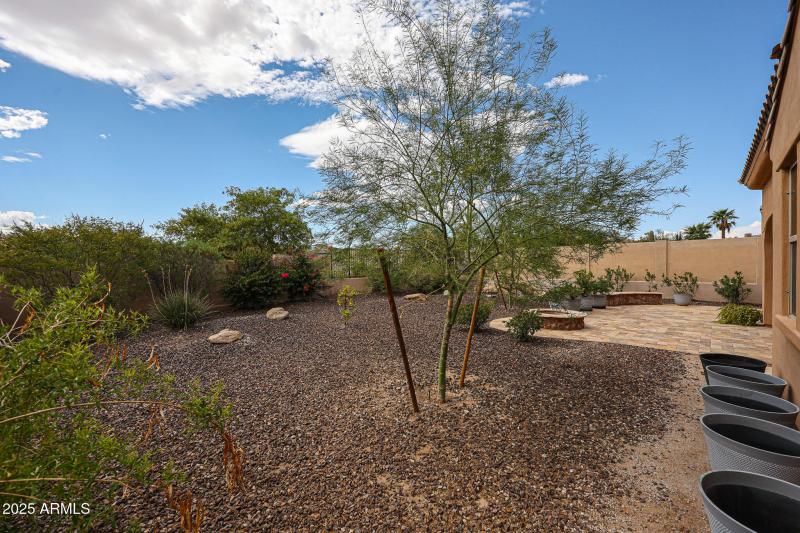 Oversized Backyard