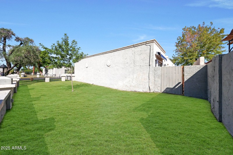 Grass (1)