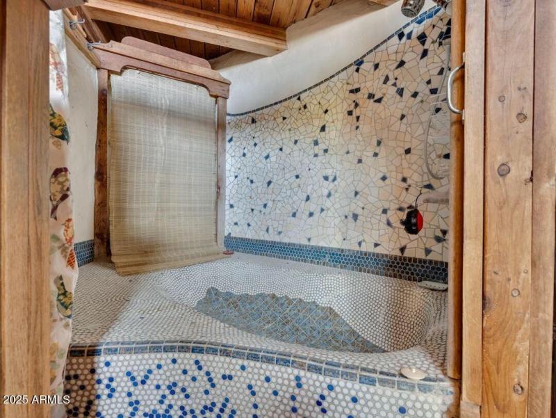 011_bath tub shower combo