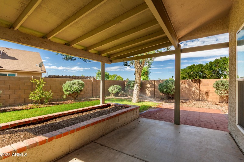 23 Backyard