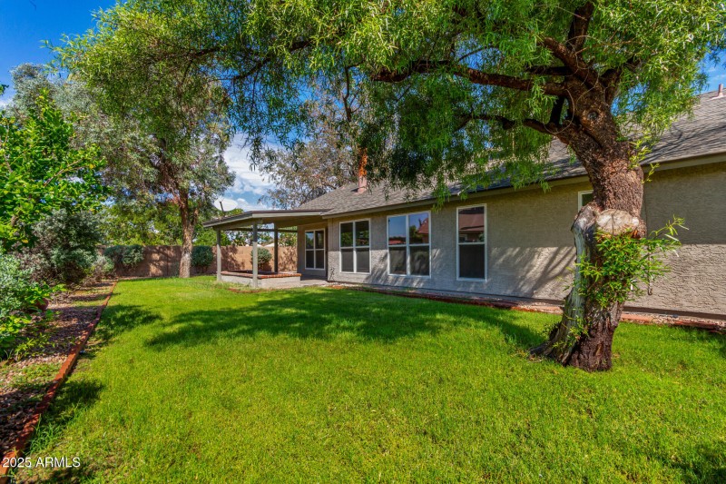 26 Backyard