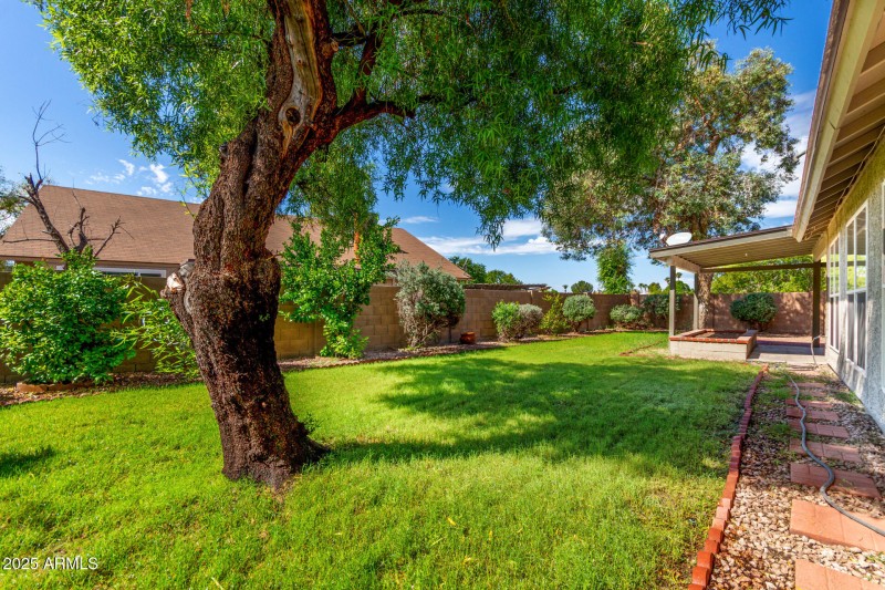 27 Backyard