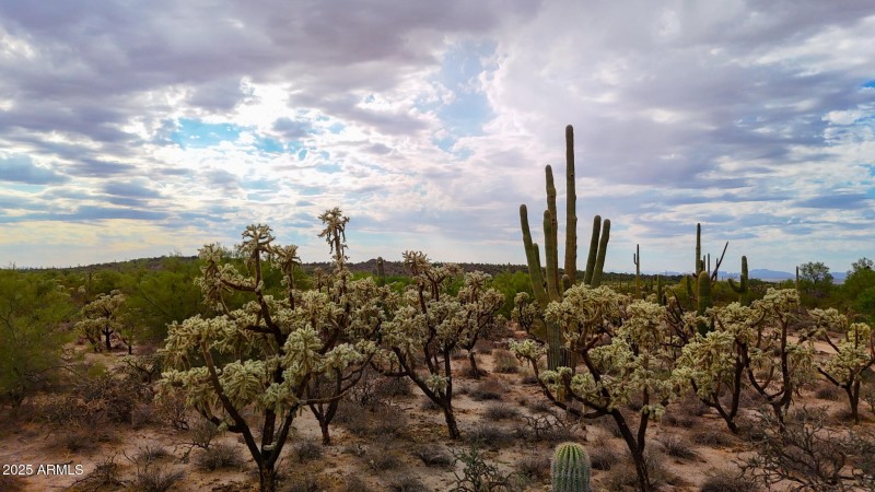 dji_fly_20251008_152658_0846_17600237954