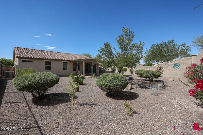 Mature Landscaping