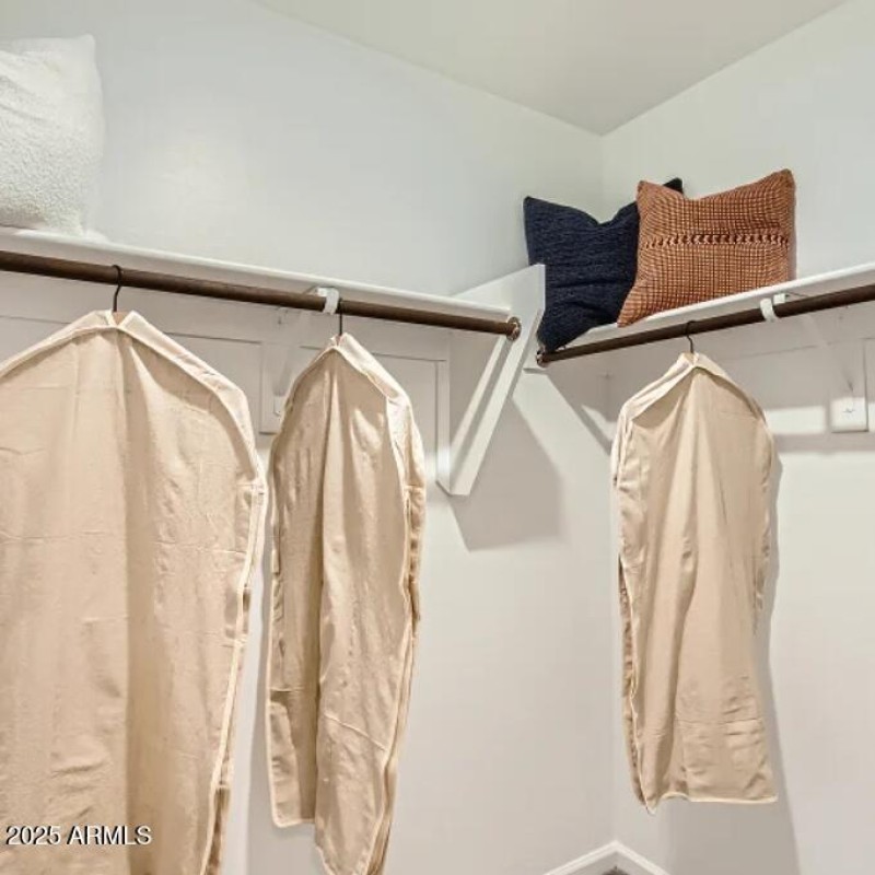 Owners Walk in Closet