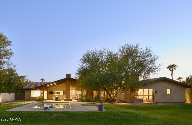 Backyard Looking Back