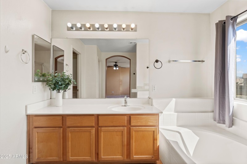 Owner's Bath