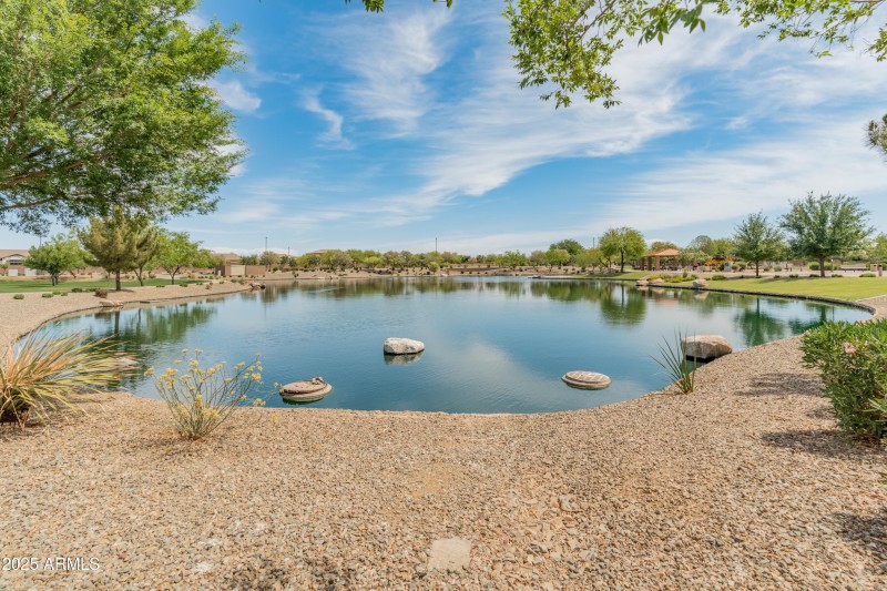 The Bridges at Gilbert-2