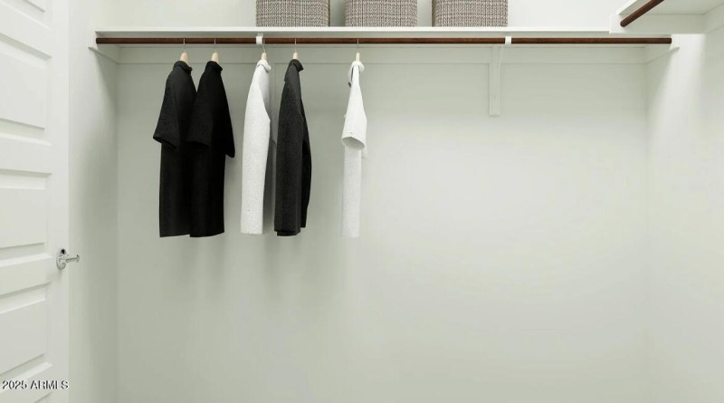 Owners Walk in Closet