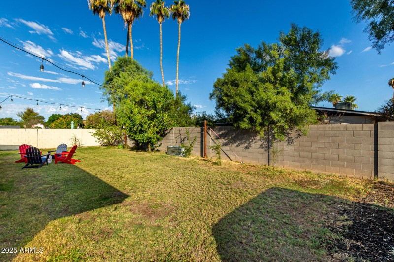 Plenty of open space