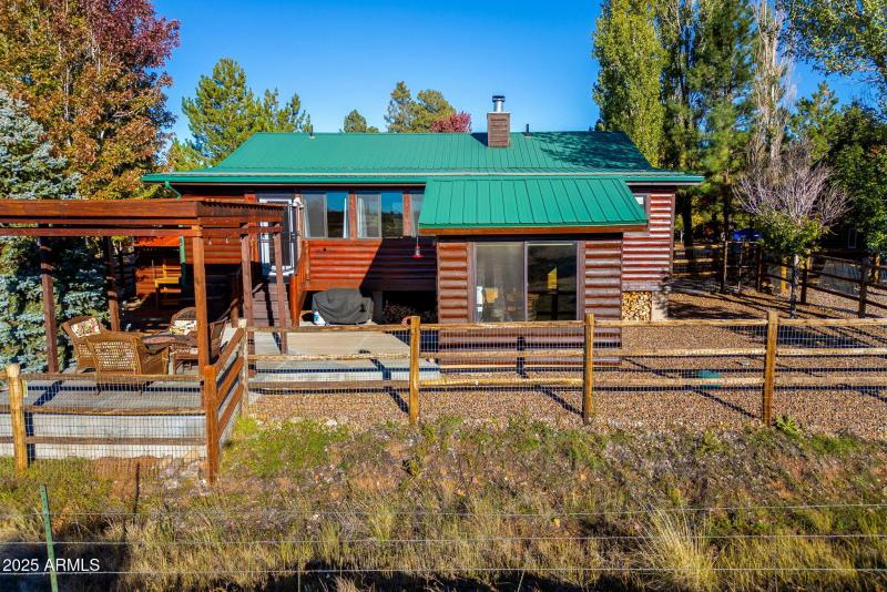 BACK OF CABIN FORM FOEST