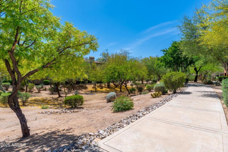 Village at Grayhawk - 10