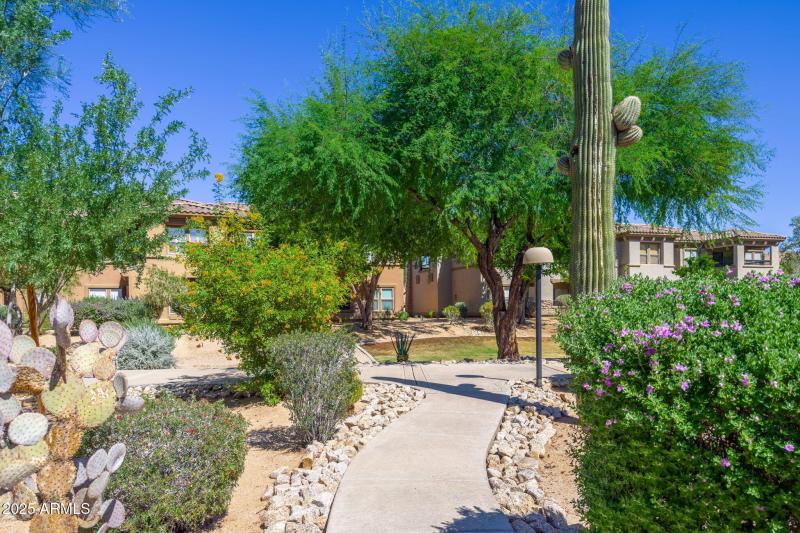 Village at Grayhawk - 15