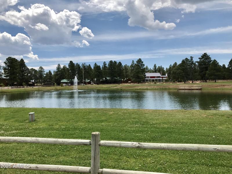 CATCH AND RELEASE FISHING AT THE PARK