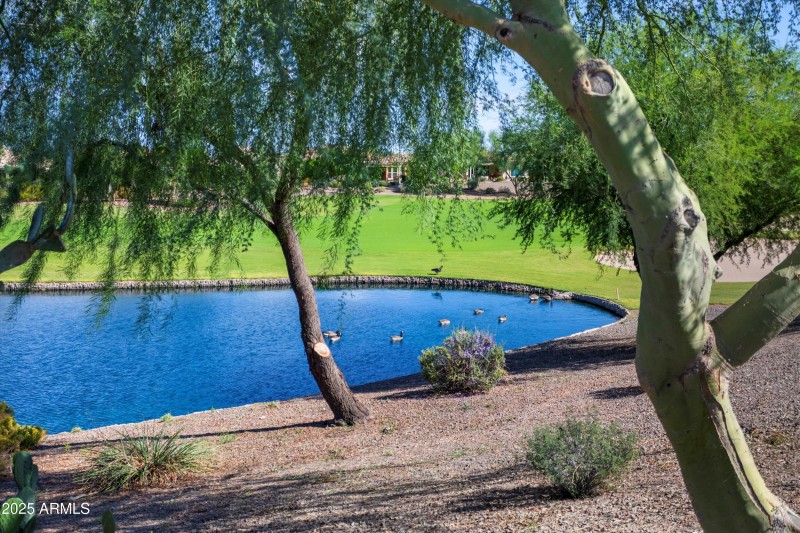 54-26534 W Abraham Ln