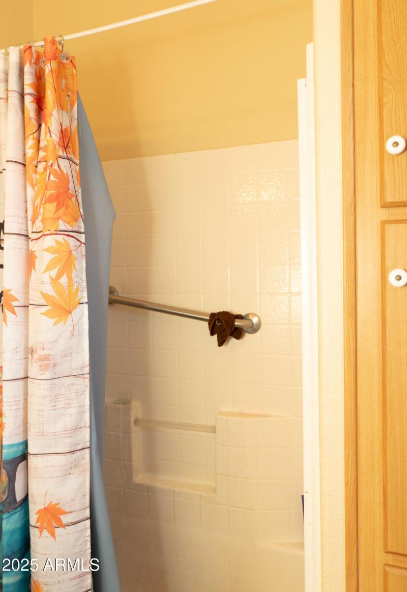 Step in Shower