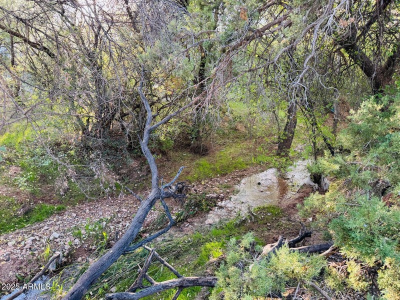 4517a48a-e30e-4c36-9bd7-6aab495a30d3