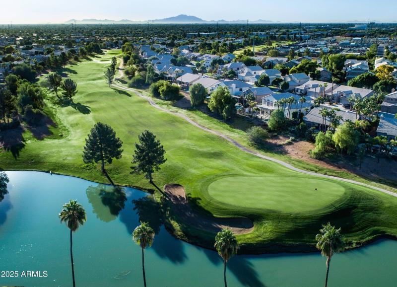 Koko8DJI_0343-scaled