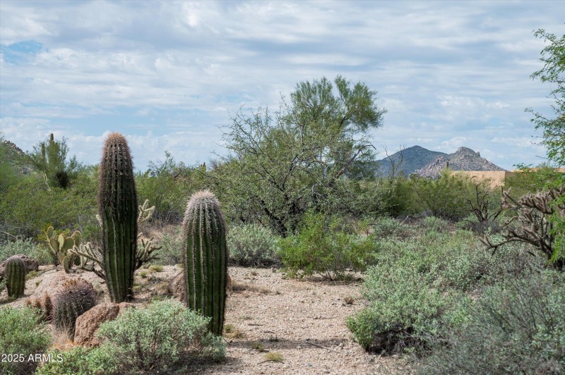 06-8580EArtisanPass-6