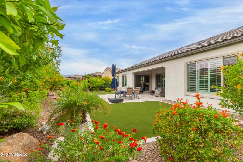 Wonderful backyard