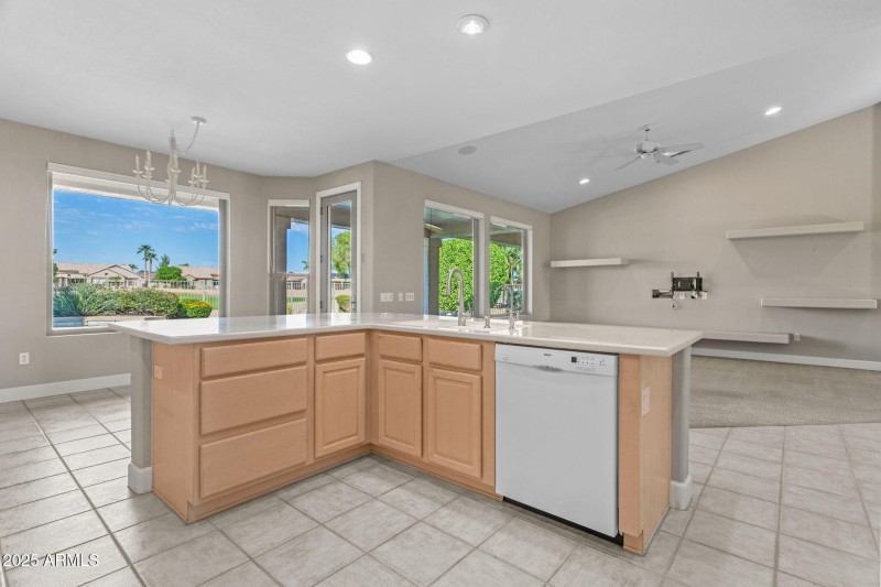17522 N Ironhorse Dr Surprise - 288