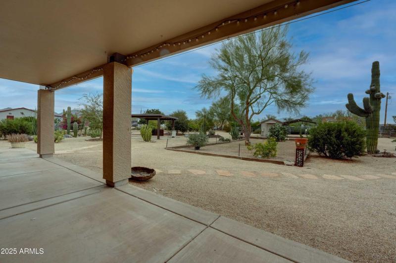 DSC00781_2_3_4_5 copy