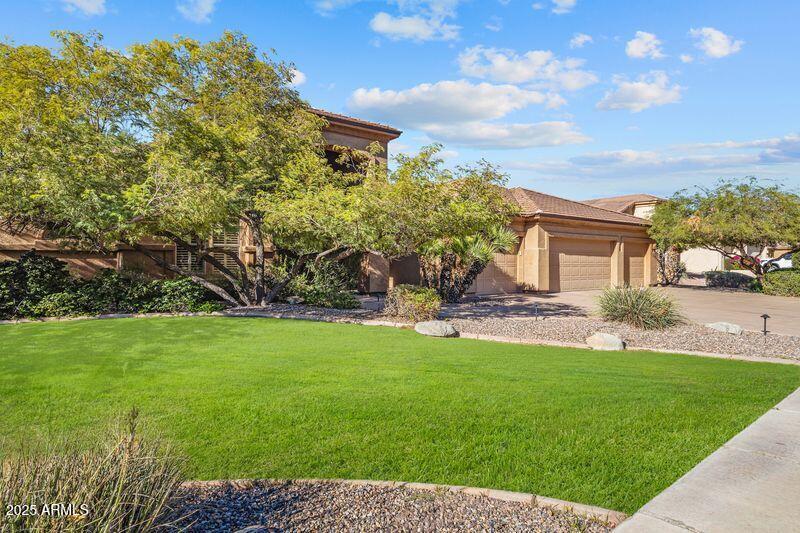 1144 W. Enfield Pl. Chandler, AZ 85286