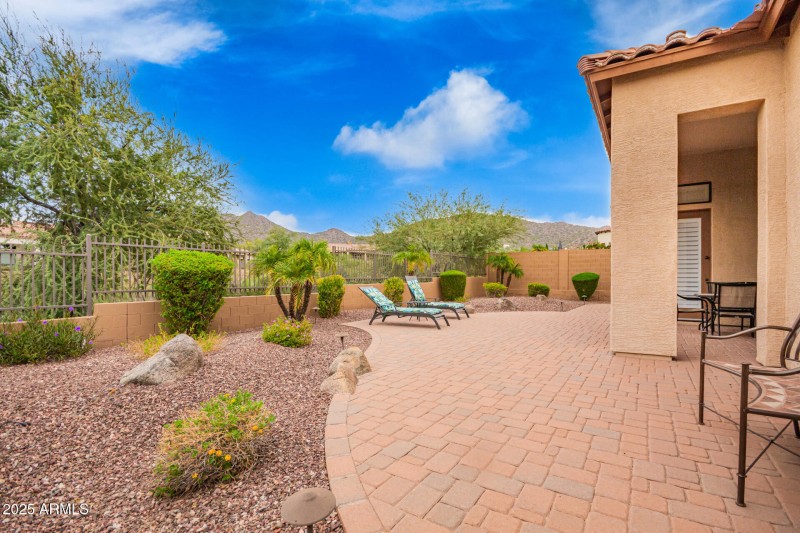 36 Backyard