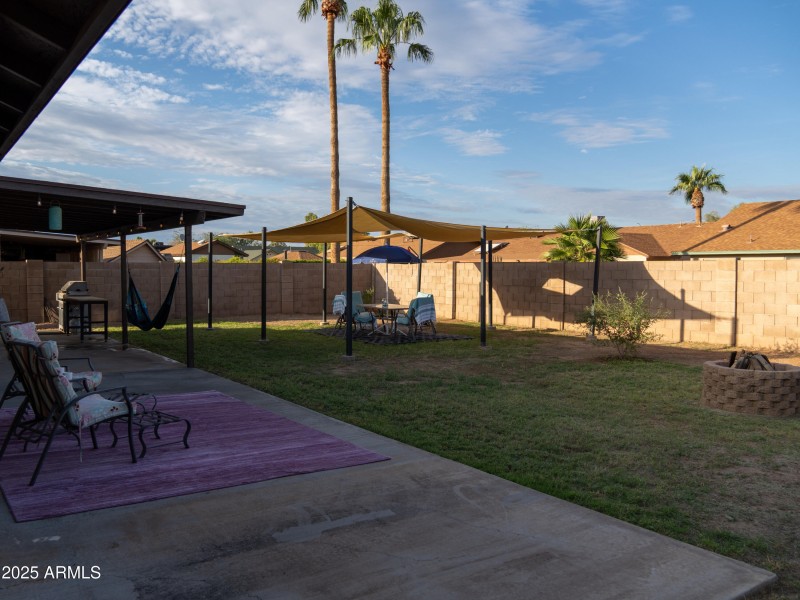 Backyard 1