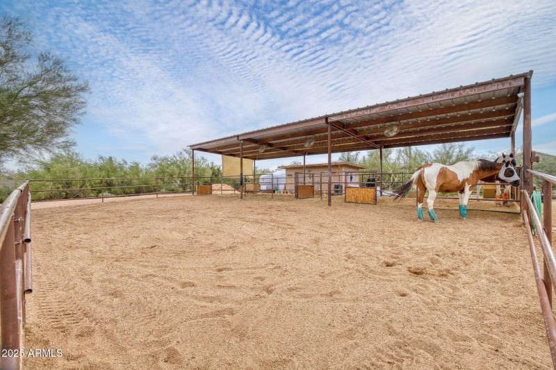 horse area
