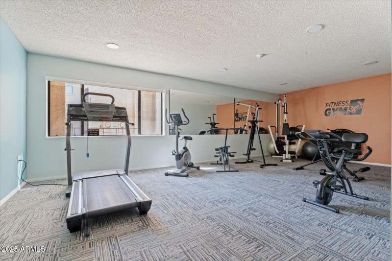 OLIVE GROVE GYM