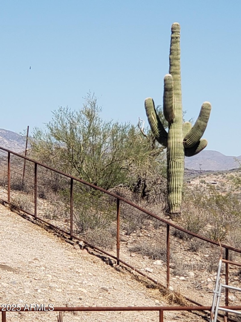 cabin lots of cactus