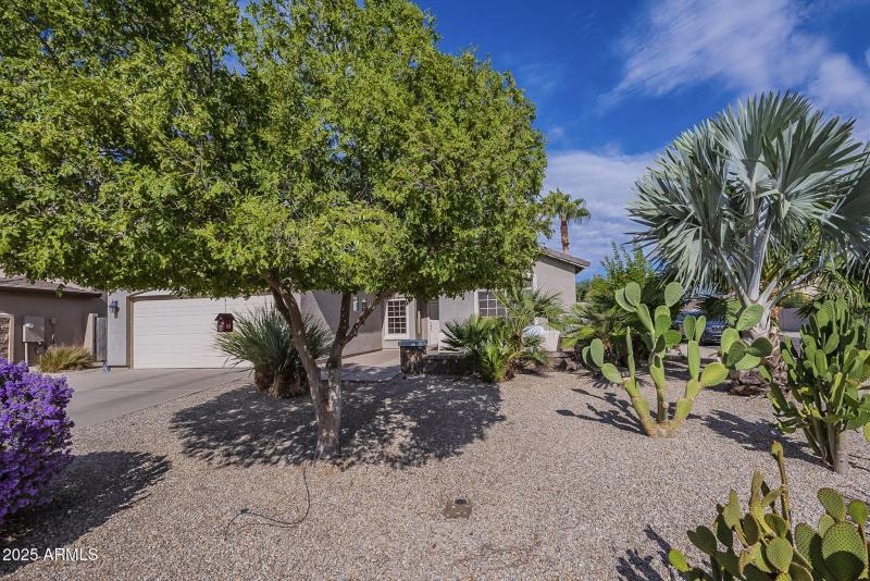 Corner lot with mature landscape