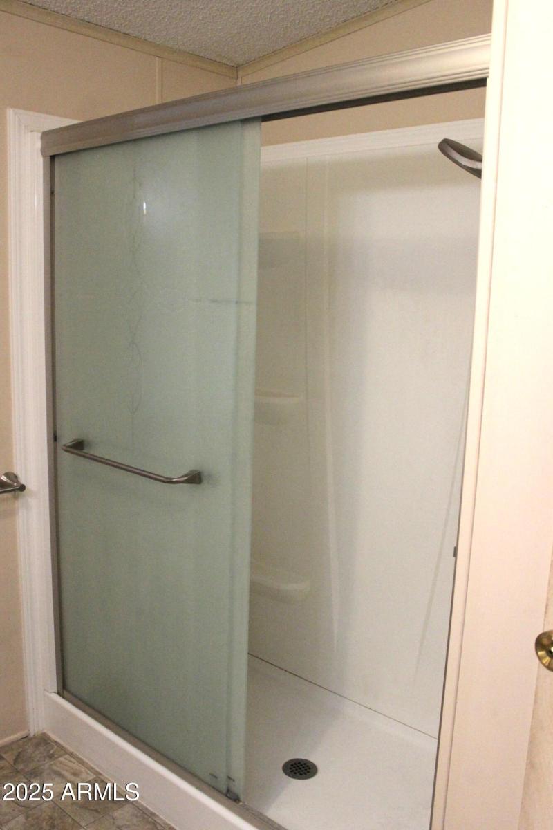Primary walk-in shower