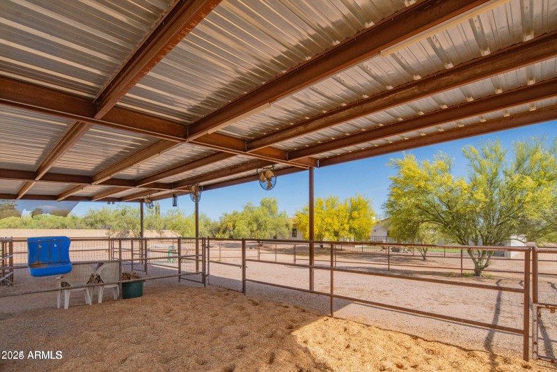 horse area