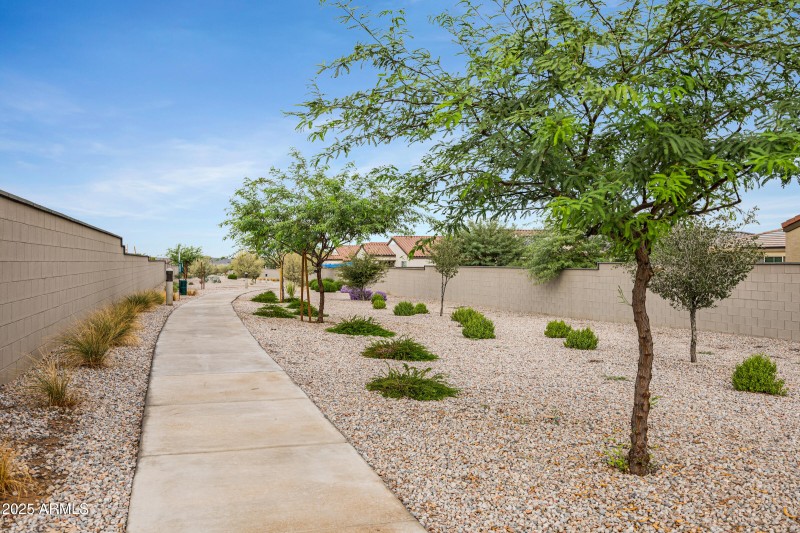 2532 W Hidalgo Ave-42