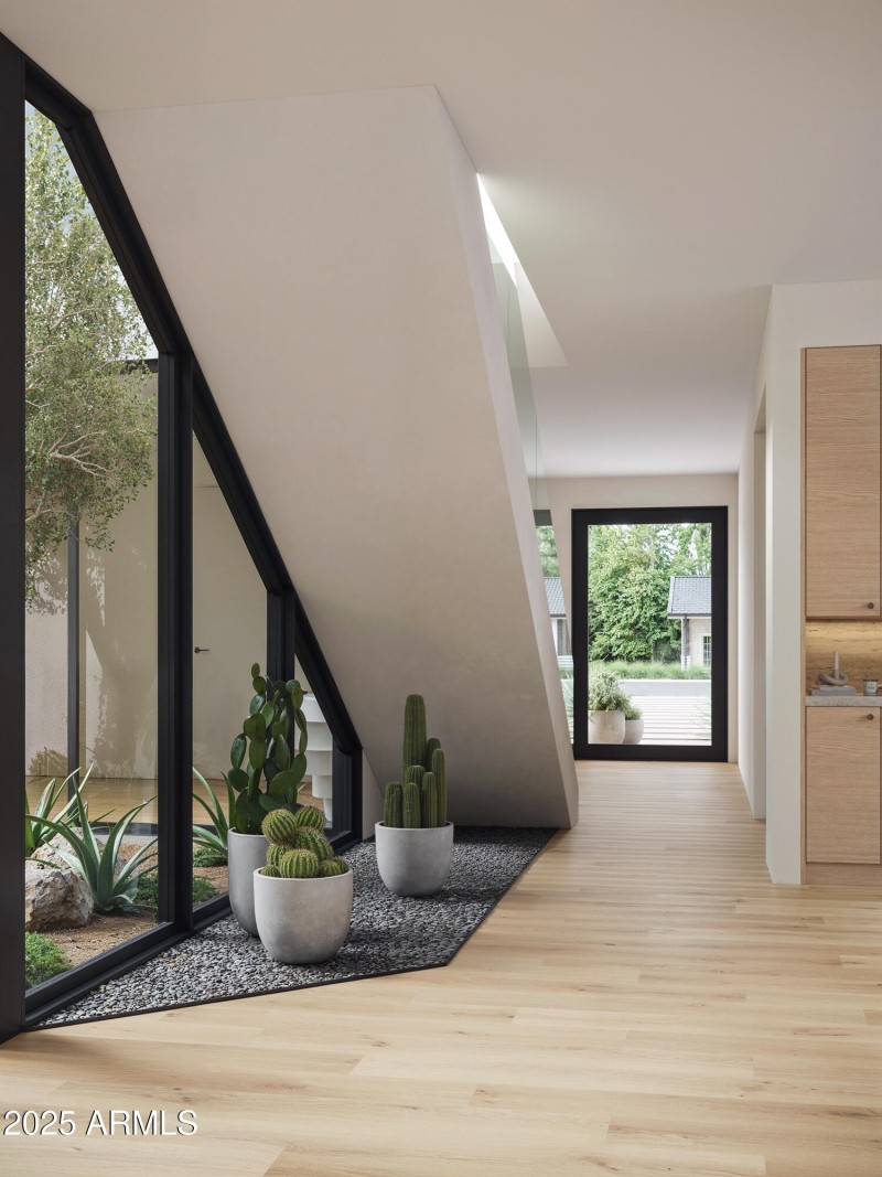 M2_closeup2_it01_2024-08-30