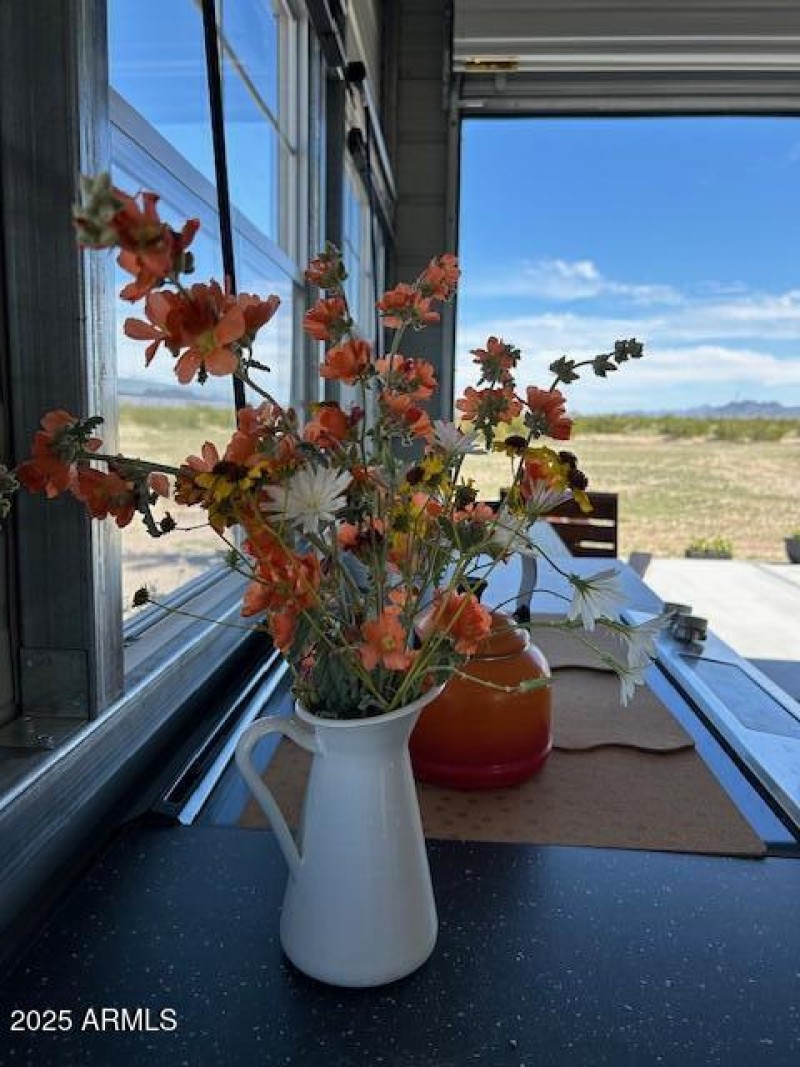 8. kitchen with desert blooms