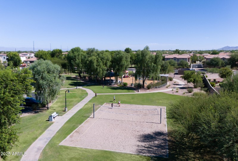 Play Volley Ball