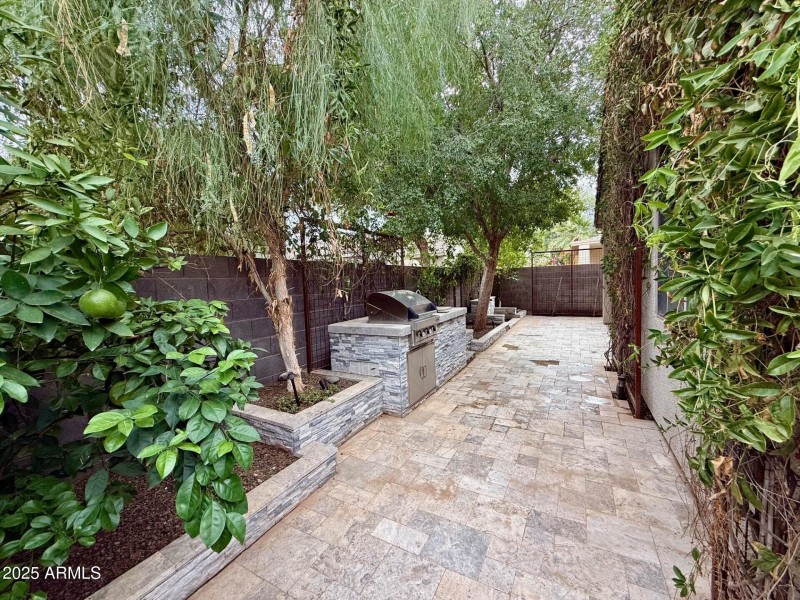 Lemon, Lime and Orange Trees