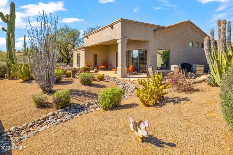 Large backyard