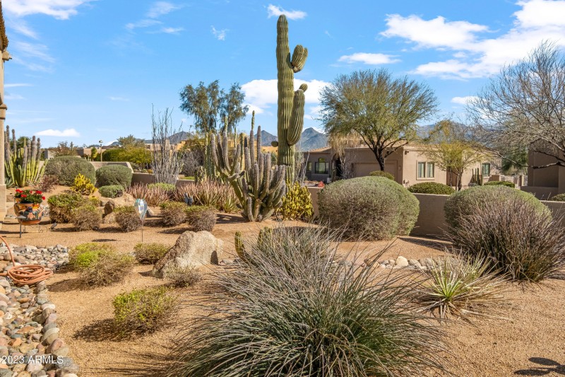 Beautiful backyard landscaping