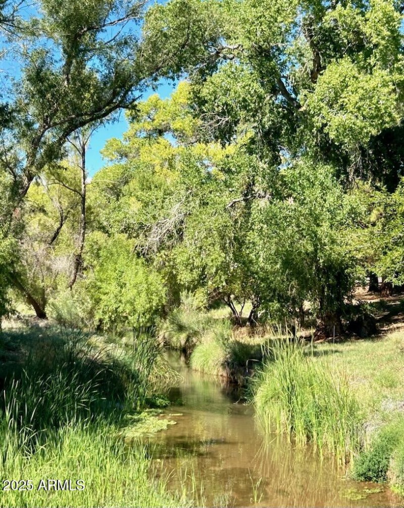 Spring Creek